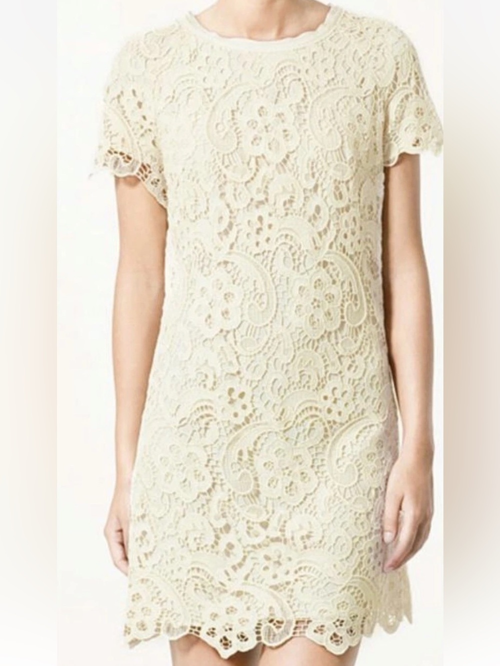 Zara Woman Cream Crochet Lace Top